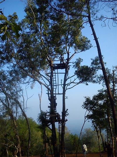 Menara Pandang di Hutan Pinus Mangunan.  (Foto: Hadyan Rasyad)